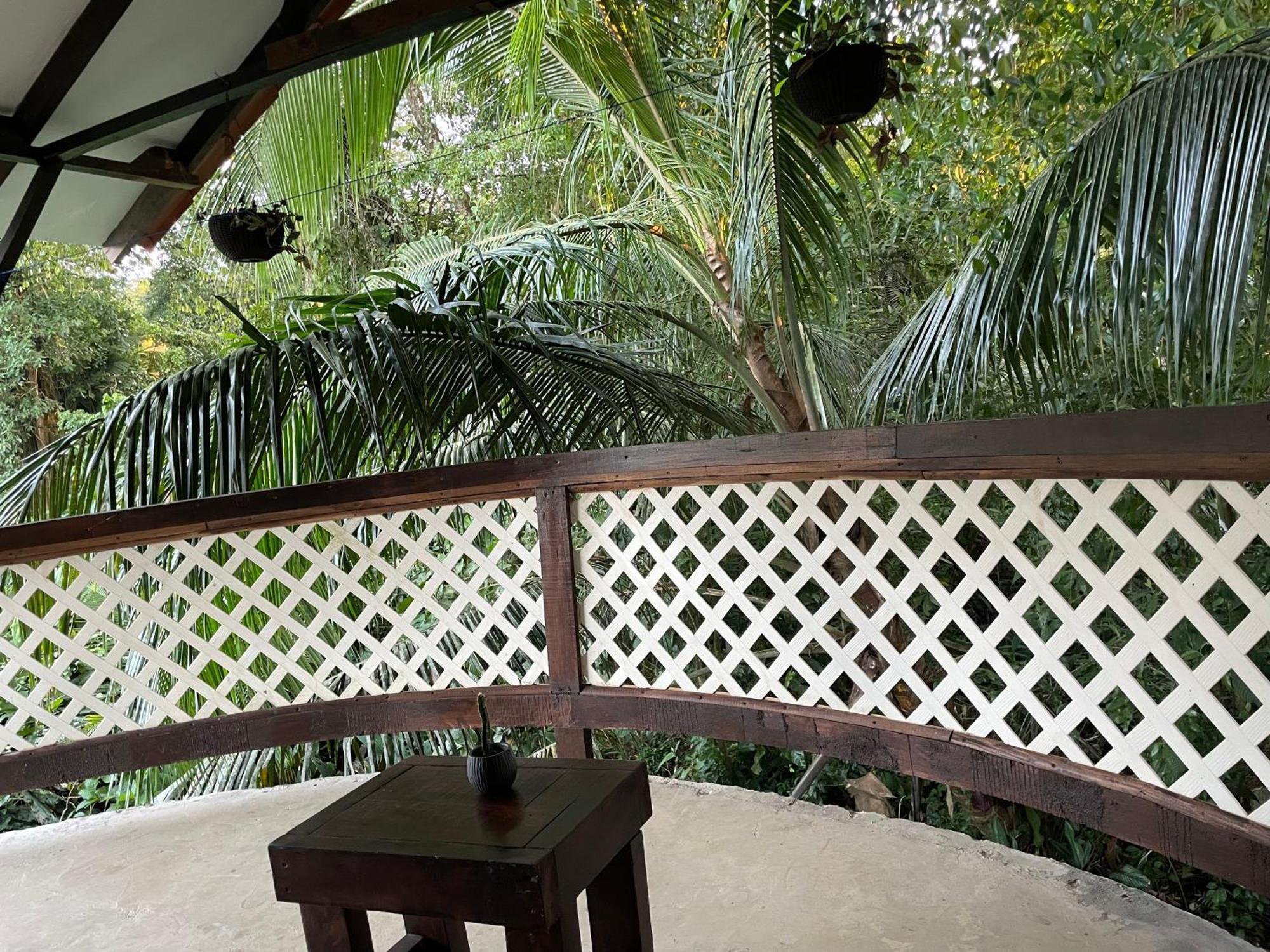 Casa Jaguar Tortuguero Villa Екстериор снимка