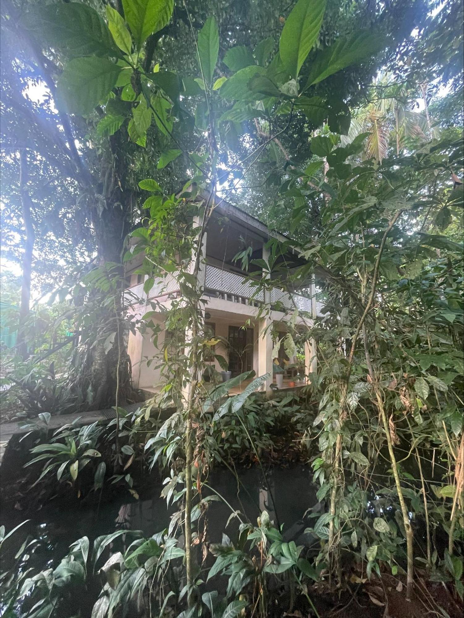 Casa Jaguar Tortuguero Villa Екстериор снимка