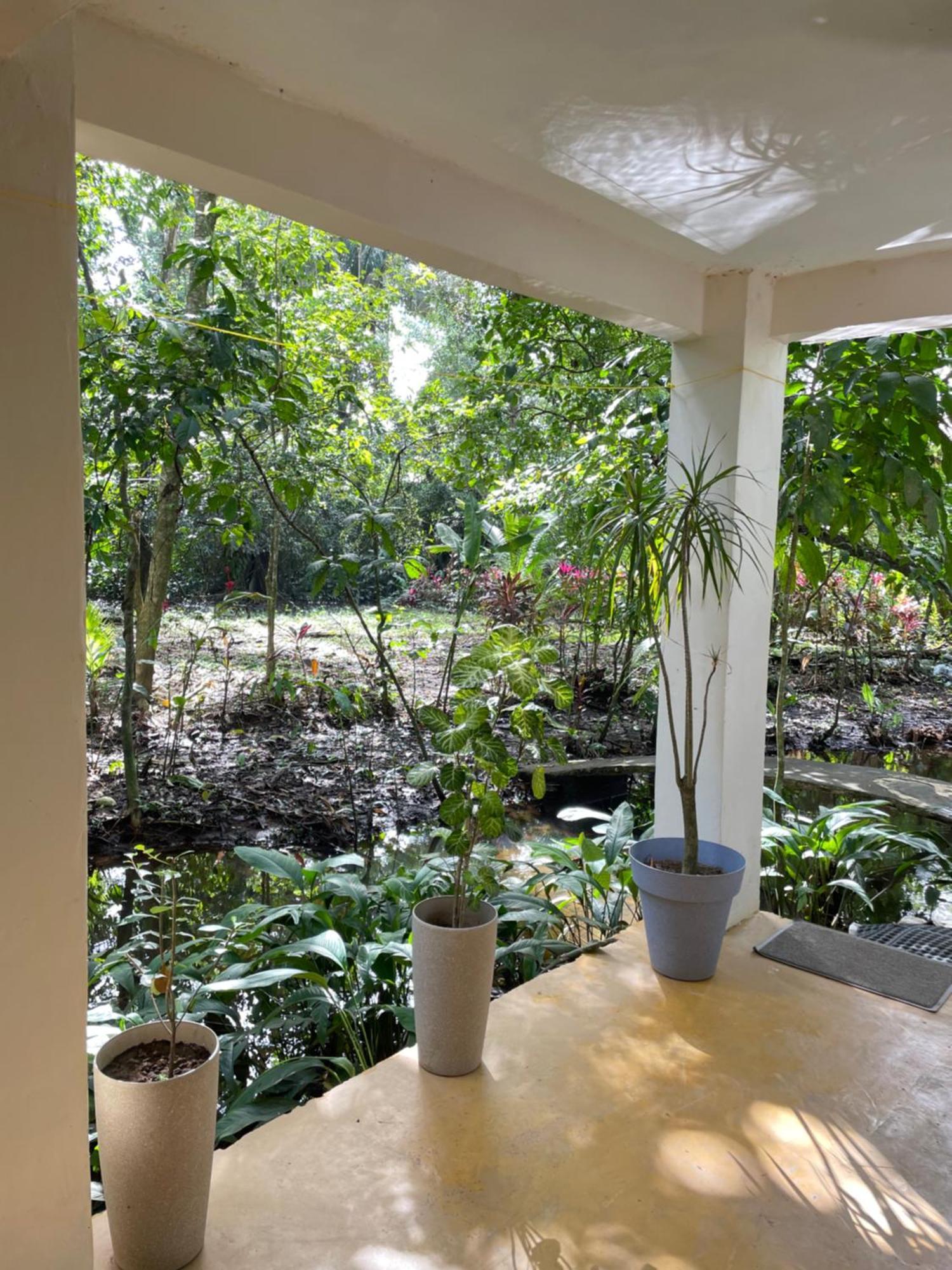 Casa Jaguar Tortuguero Villa Екстериор снимка